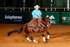 Big Brown Del Rancho filho de Big Papi 3º Lugar Potro do Futuro Aberta castrado e 2º Lugar no Amador com Nelson Rodrigues na aberta e Djalma Neto no amador