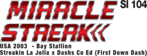 Miracle-Streak logo