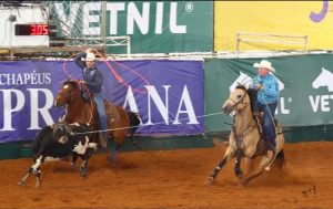 HFM CLINT BOY filho de Shiners Homeboy Campeão Potro Futuro Laço Técnico Cabeça