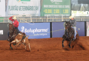 Irmão Próprio BigShow Del Rancho Campeão Laço Cabeça