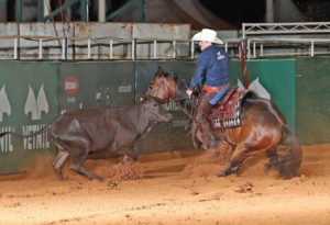 Irmão Próprio BigShow Del Rancho Campeão Potro do Futuro WCH