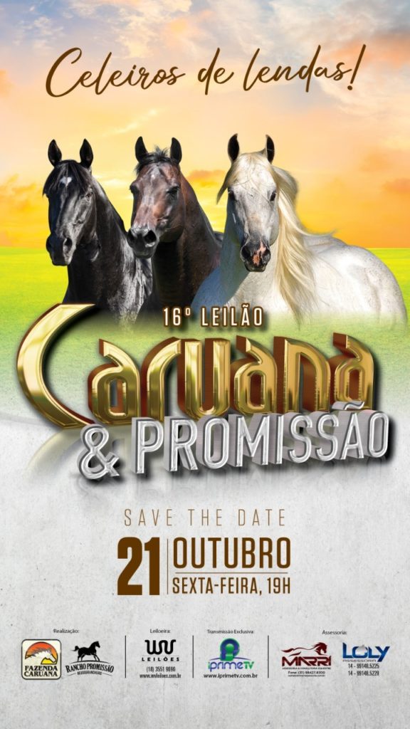 17ª Leilão Caruana & Promissão - Rancho Promissão